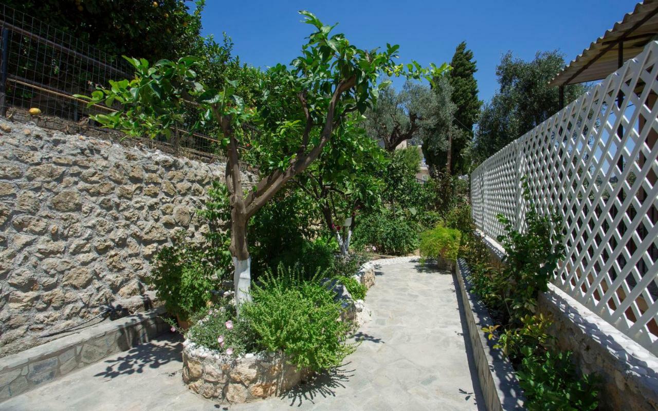 Thalassa Studios Paleokastritsa Ngoại thất bức ảnh